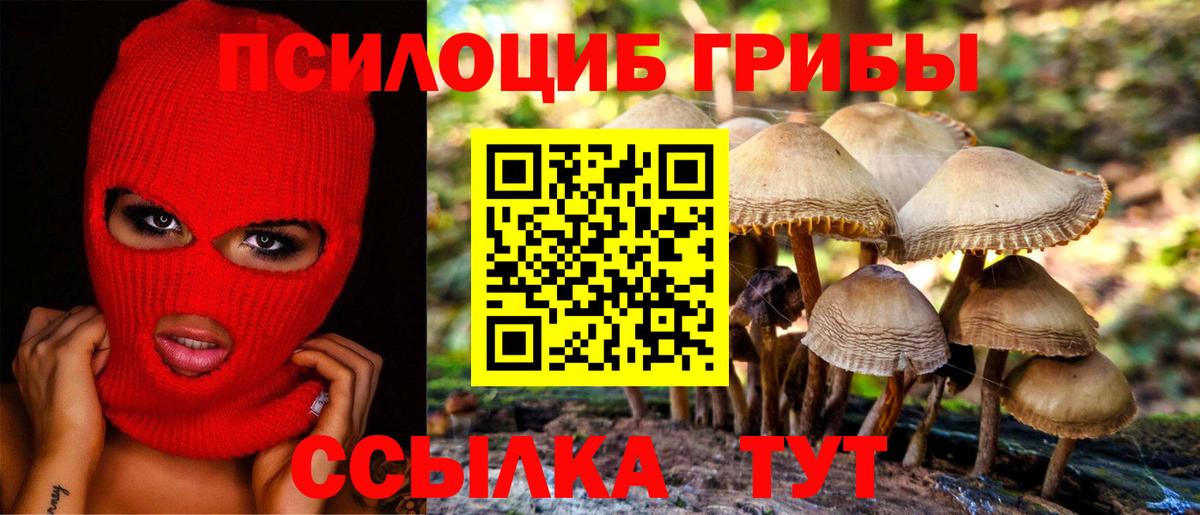 Псилоцибиновые грибы прущие грибы Троицк